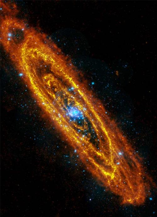 M31