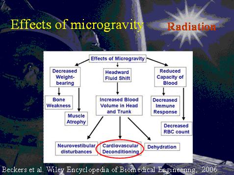 Effects of microgravity
