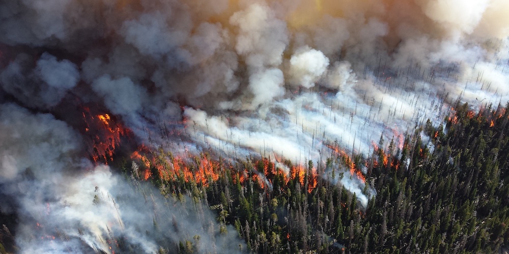 De uitstoot van waterstofnitriet (HONO of salpeterigzuur) door bosbranden kan op regionaal niveau een aanzienlijke invloed hebben op de samenstelling van de atmosfeer. Bron: PxHere
