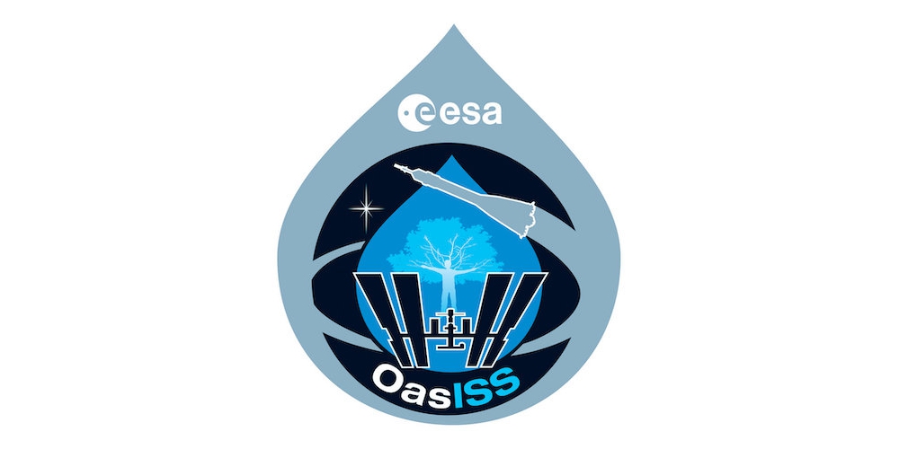 Het logo van de OasISS missie van Frank De Winne. 